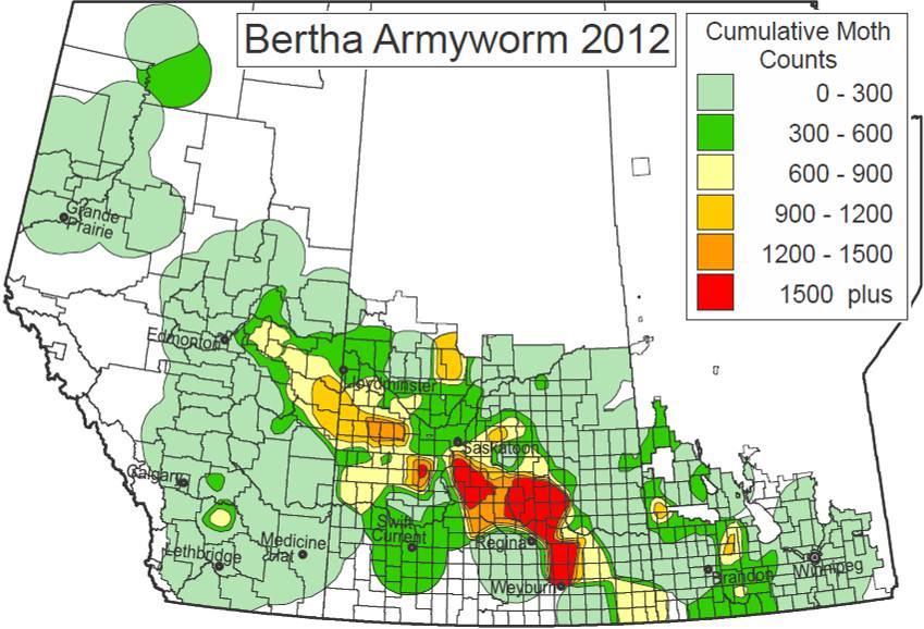 9. Bertha Armyworm (Mamestra configurata) - Pupal development for BAW is estimated in map form below with the data being based on current weather conditions and the known biological parameters for