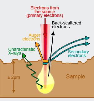 Electrons and their interaction with matter electrons interact with matter in many ways can be scattered once or more that once elastic or inelastic effects