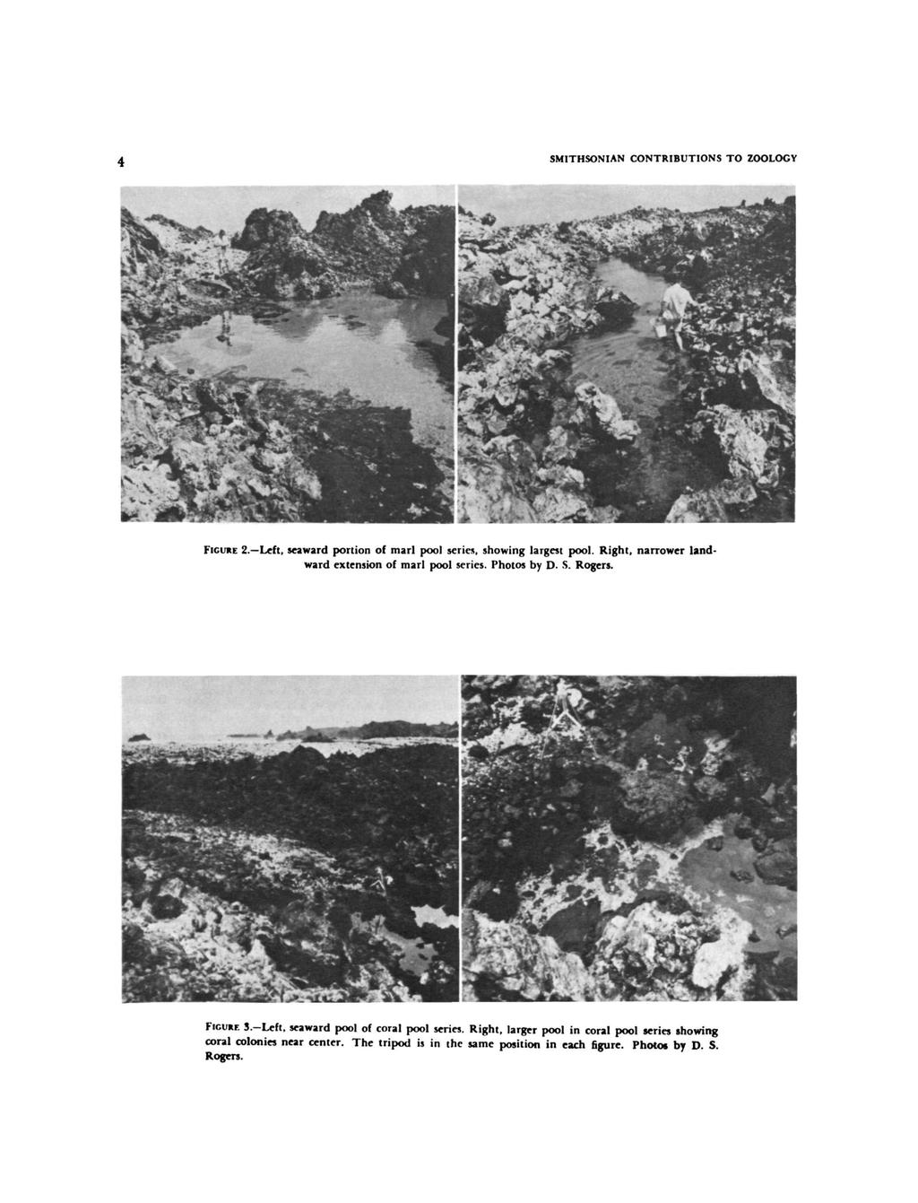 SMITHSONIAN CONTRIBUTIONS TO ZOOLOGY FIGURE 2. Left, seaward portion of marl pool series, showing largest pool. Right, narrower landward extension of marl pool series. Photos by D. S. Rogers.