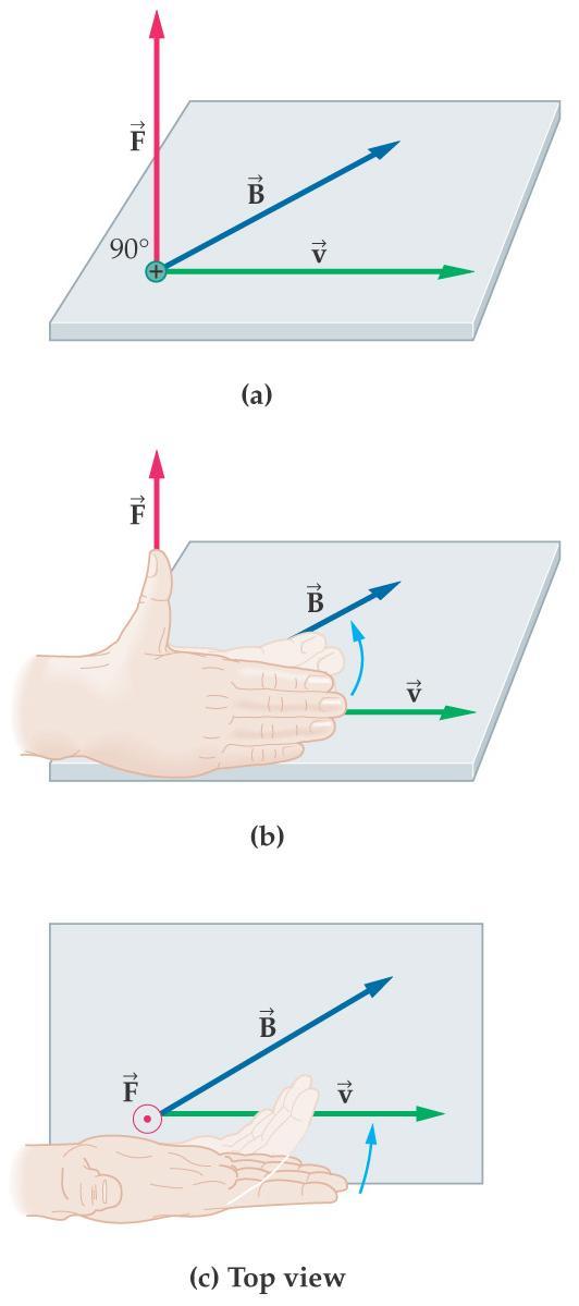 The Magnetic Force on Moving Charges In order to figure out which direction the force is on a moving charge, we use the right-hand rule (RHR).