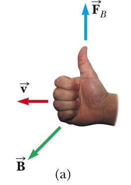 Direction of the magnetic Force: Right-Hand Rule #1 The fingers point in the direction of v B comes out of