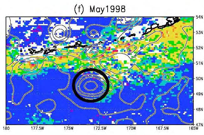 Example: Eddy 96b Results5 (16/21) 1998 May May 1998 (just after 96b detached from AS): Chl-a: high in periphery