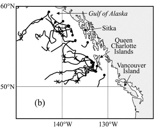 1999) Gulf of Alaska Anticyclonic