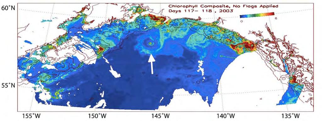 Introduction2 (3/21) Water exchange by eddies in the GoA Ladd et al. (2005) Surface chlorophyll-a composited over 27 28 April 2003 from the SeaWiFS satellite.