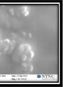 micromodel during flooding experiments was recorded by Figure 1 SEM image for nanoparticles (left: nano-structured particle;