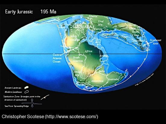 Break up of Gondwana (tectonic plate movement late 1960 s) It was not until the