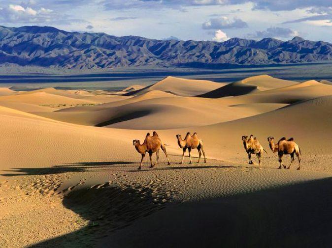 Gobi Desert 1. Largest desert in Asia 1.1. Covers more than 5,000 miles from northwest China into Mongolia 2. Located in northeast - southern Mongolia to North/Central China 3.
