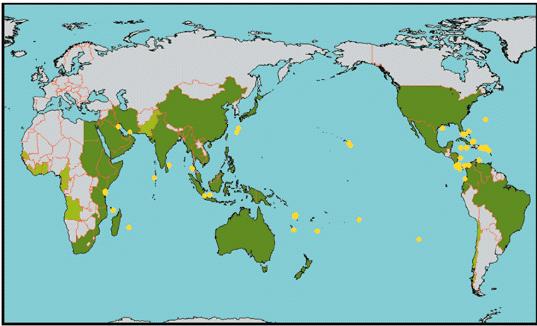 Coral bleaching Regions where major coral reef bleaching events have taken place during the past 15