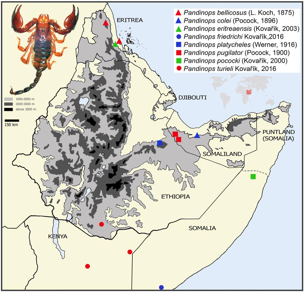 14 Euscorpius 2017, No. 254 Figure 50: Map showing distribution of Pandinops spp. with corrected confirmed distribution of Pandinops pugilator. Scorpion in photos inside map is the holotype of P.