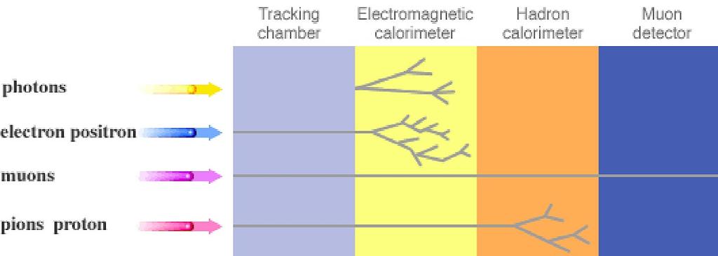 The ATLAS detector consists of four major components: The inner tracker (yellow) measures the momentum of the charged particles. This is done by measuring the curvature in the magnetic field.