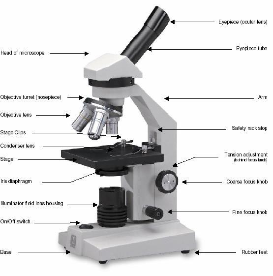 Microscope Use the diagram to help identify the various parts of the microscope When using a microscope, always ensure that the magnification is on the lowest to start Micro-organisms