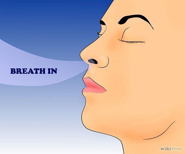 Topic : Respiratory System Our respiratory