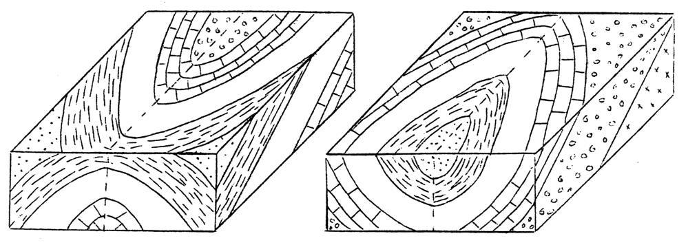 The folds shown in Figure 18 plunge along their axes. The angle of plunge is the same as the angle of dip of a bed measured along the axis of a fold.
