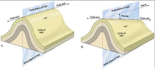 of the fold. The axial plane is the surface that bisects the fold and the hinge line marks the center of the fold.