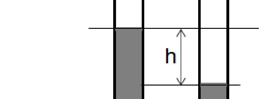 The height of the column, h, is 0.10 m. The liquid in the manometer is mercury (Hg). What is the pressure P? 20. A 10-meter rope has a diameter of 0.02 m.