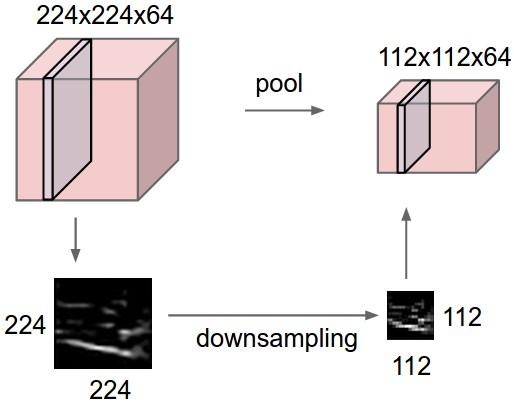Pooling Layers Reduce dimensionality after filtering.
