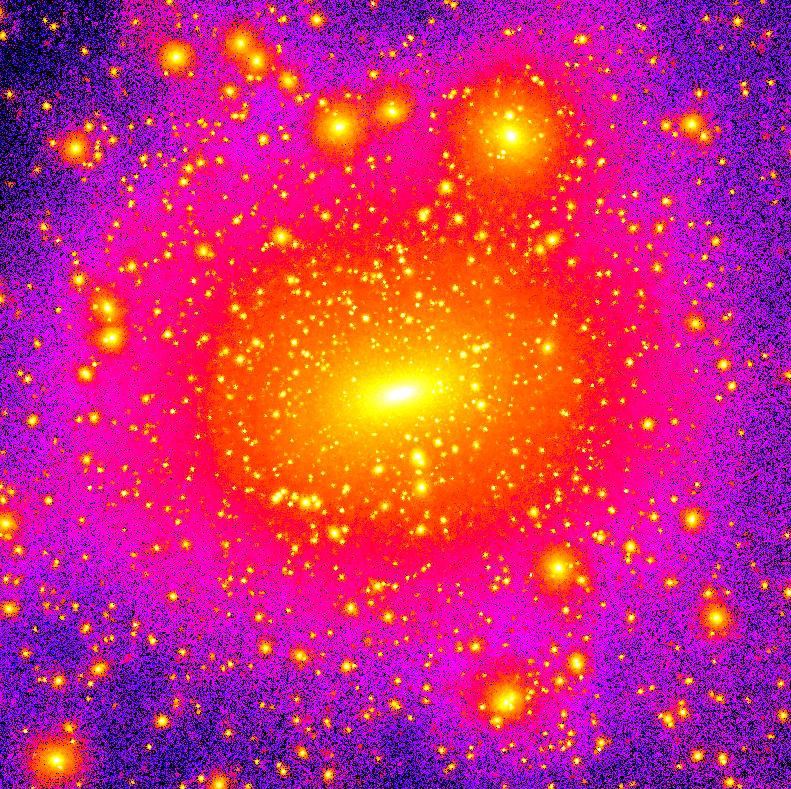 Small-scale structure in CDM halos A rich galaxy cluster halo