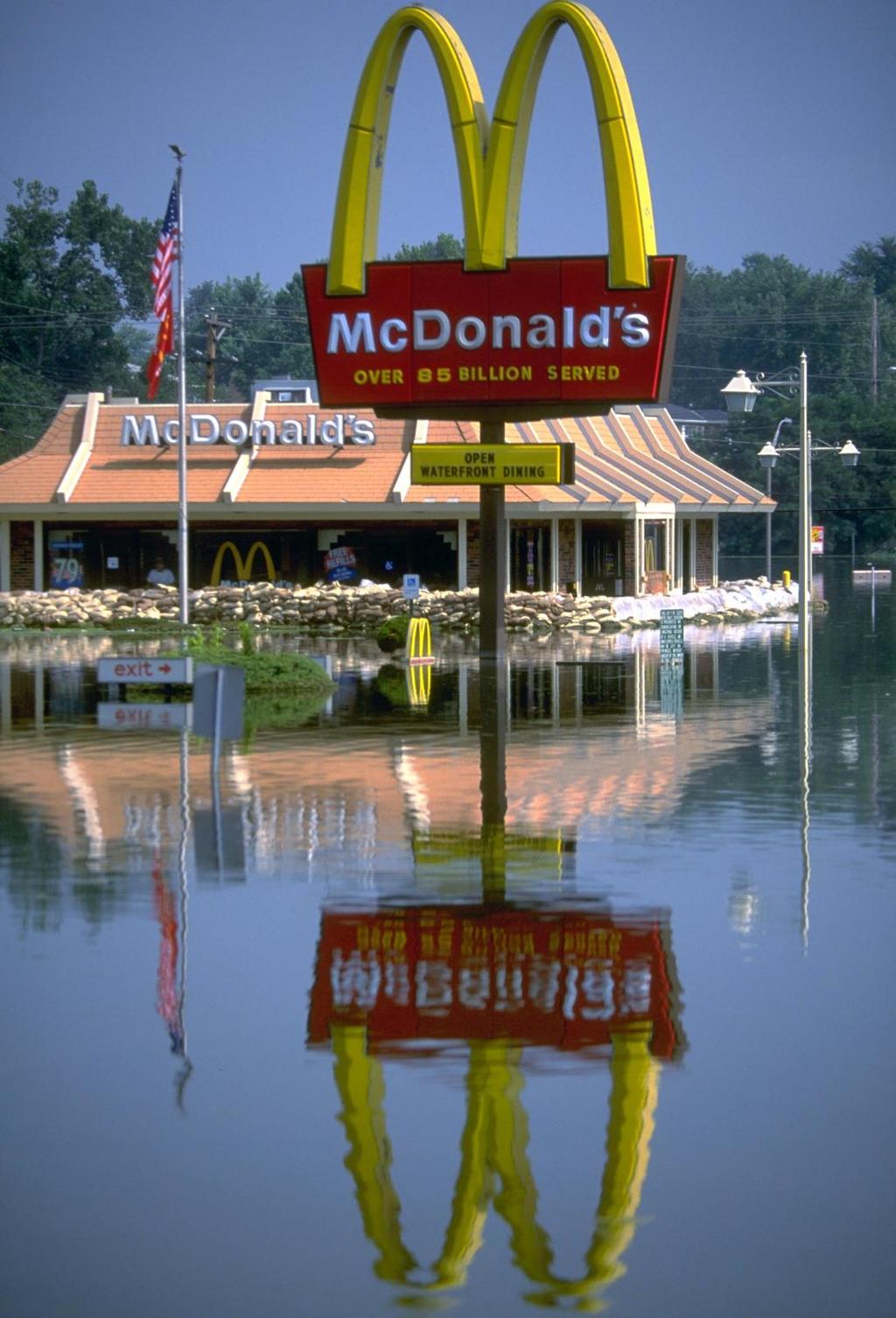 GREAT MISSISSIPPI FLOOD of 1993 Although the direct cause was heavy rainfall, many blamed human activity such as unwise development of flood-plain areas for