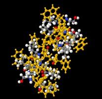 4A Probe sphere SAS 1NT5 Molecule VDW SES/SCS SAS: solvent accessible :
