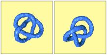 Panels (top to bottom and left to right) correspond to 10, 160, 320, 640 ( 1,000) automation steps. Figure 6: A trefoil knot.