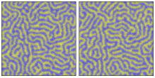 Figure 1: Snapshots of time evolution of a two-dimensional labyrinthine pattern. Reaction rate constants are k 1 =3.84, k 2 =0.3, k 3 =0.2 and D u /D v =4.