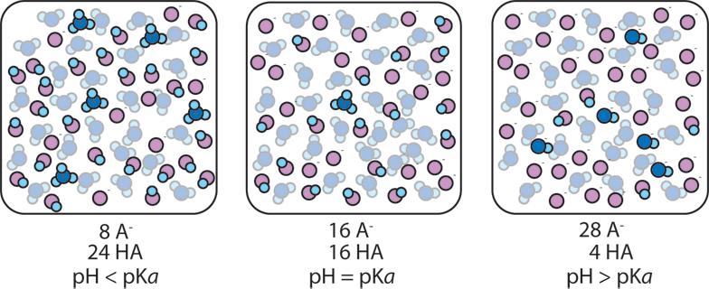 The transfer of protons between ions and water molecules controls the ph of aqueous solutions. The ph of blood, for example, is normally 7.4, and if it falls more than 0.