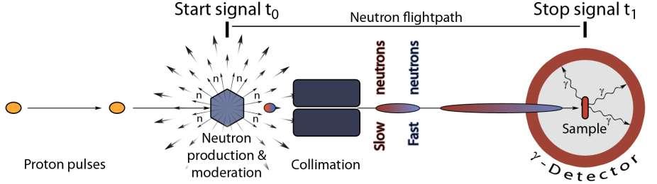 Neutron Captures time-of-flight technique the TOF-technique is the only generally applicable method the determine energy-dependent neutron capture cross sections beam pulsing & distance to