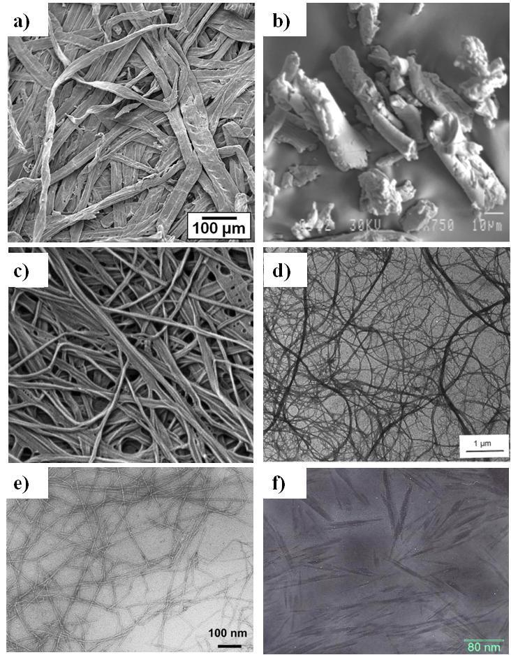 Types of cellulose fibres Wood and Plant Fibres Microcrystalline cellulose Bacterial cellulose