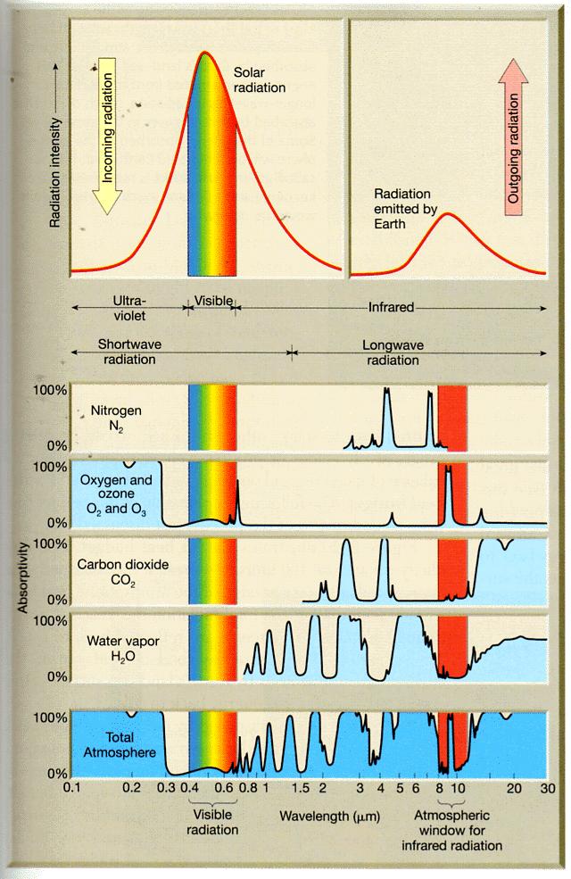 Absorption of Terrestrial Radiation In the middle of the atmospheric window sits the 9.6- μm band of ozone absorption.