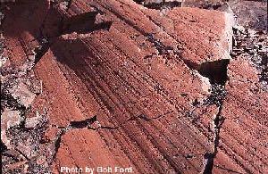 Glacial striations form as Glacier ice flows from high point at pole outward Reconstruction