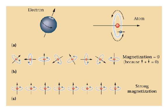 Basics of magnetism Spinning electron generates a tiny magnetic field If random,
