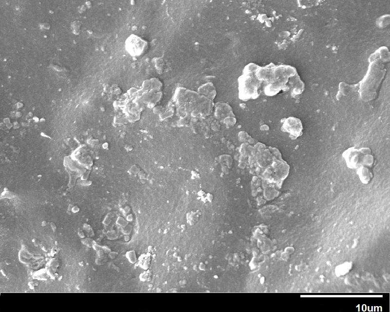 Fig S5 SEM images of the fabricated composite fractured surface (G1.