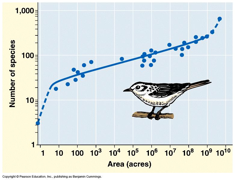Geographic (Sample) Size Species-area curve The larger the geographic
