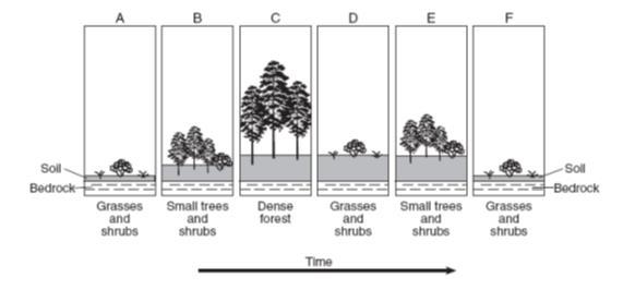 Ecology Succession 1. Define ecological succession. 2. List the 2 types of ecological succession.