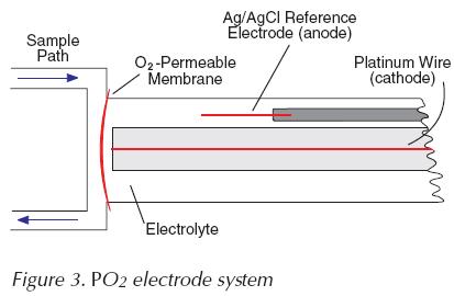 po2 electrode Oxygen electrode measures the oxygen partial pressure in a blood or gas sample.