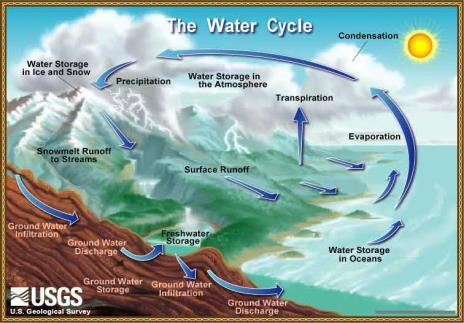 Hydrology and the Water Cycle Water goes