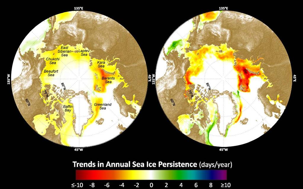Pan-Arctic Trends in Annual Sea Ice