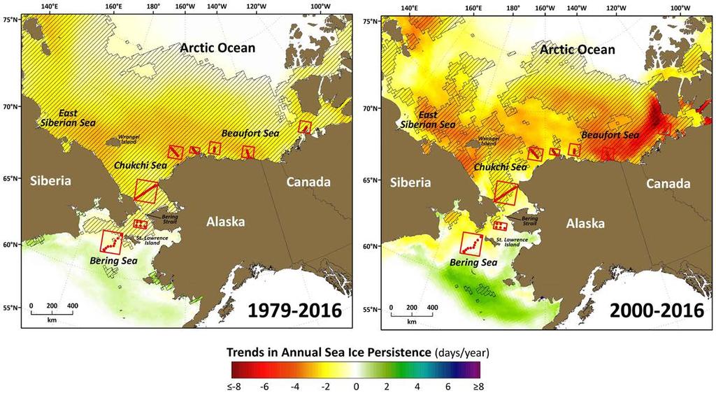 Trends in Annual Sea Ice Persistence in Relation to DBO 1 8 Hatching indicates statistically significant trends