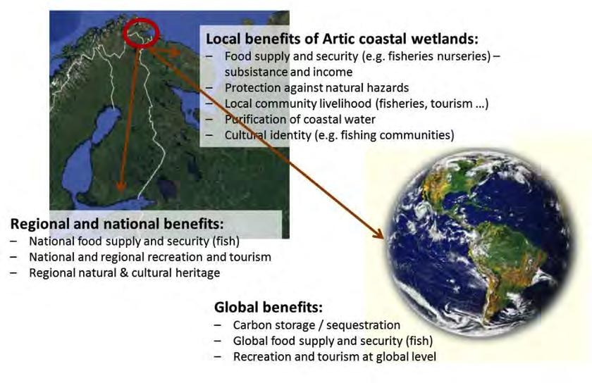 Beneficiaries of Arctic