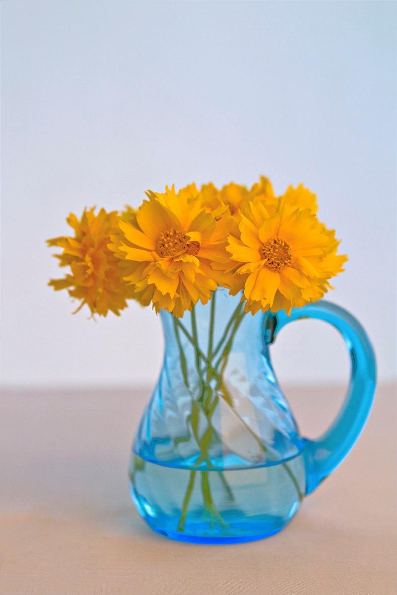 Why Do Objects Have Color? The flowers are mostly opaque.
