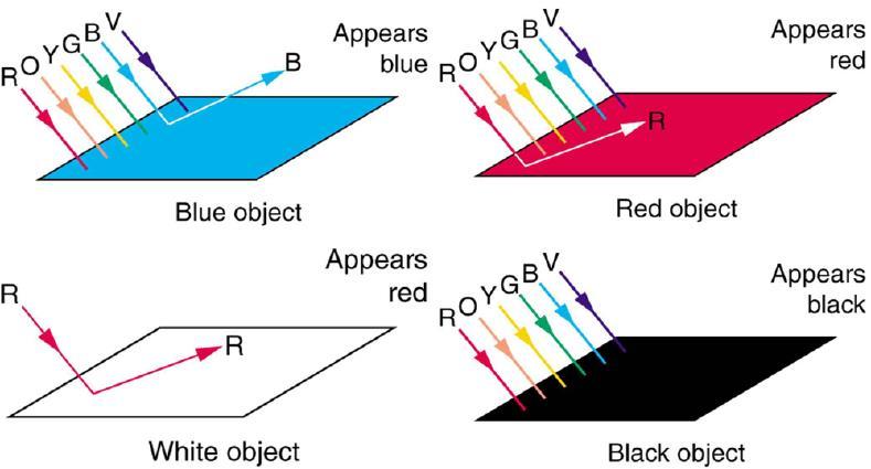 Absorption of Light For each of the diagrams