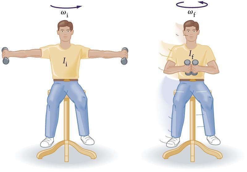 8. A physics professor, holding two dumbbells, one in each hand, stands on a rotating platform. Initially, the physicist hold the dumbbells straight out at arm s length.