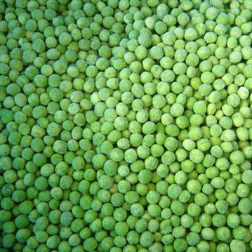 What is the genotype of a green pea? What is the genotype of a yellow pea?