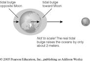 The difference in the Moon's gravitational pull at various locations on Earth causes two tidal bulges.