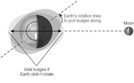 The shell is pulled towards the Moon by tidal forces, distorting it into an ellipsoidal shape. Tidal Effects This model of tides on the Earth is oversimplified: Earth not completely covered by oceans.