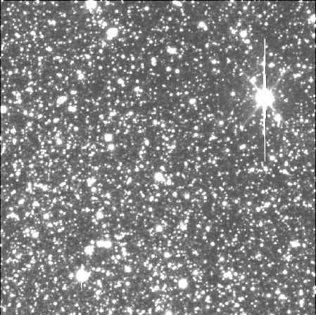 K2 Crowded Field Photometry Challenges 5x5' image of