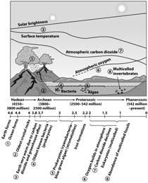 Early Life Evolution and the Fossil Record Life in the Phanerozoic Eon Atmospheric changes