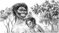 were small in size but had a large brain capacity They never spread beyond Africa Homo erectus