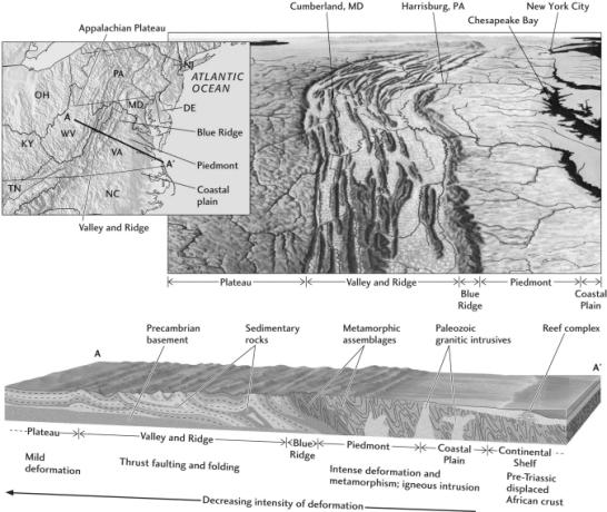 N. American Cordillera Deformation from multiple Paleozoic orogenies Records the