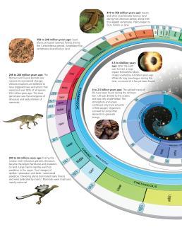 Key Concept Technology allows scientists to gain insights into the natural history, behavior, and appearance of extinct organisms
